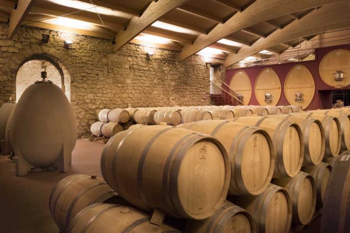 bodegas-y-vinedos-de-gomez-cruzado-barricas